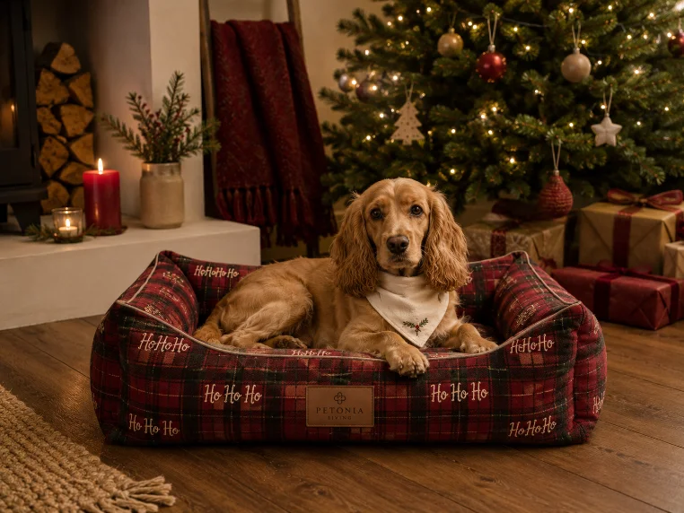 Petonia Living winter and Christmas seasonal pet bed on a festive retail display